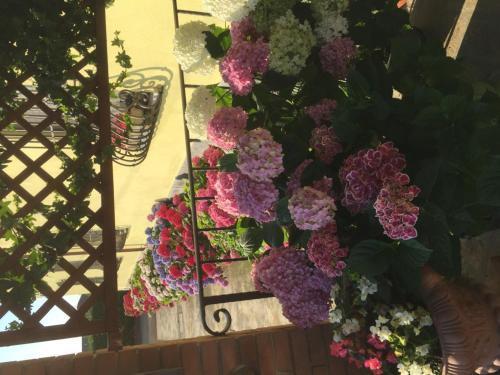 Albergo Il Gufo Parma Exterior foto