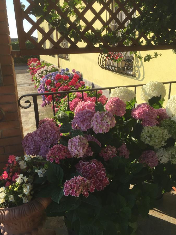 Albergo Il Gufo Parma Exterior foto